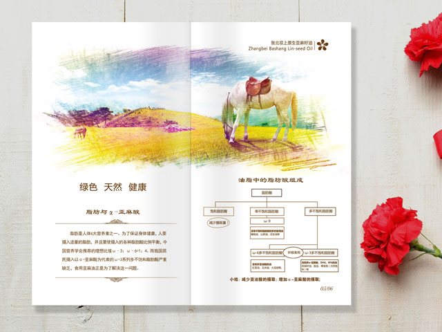 亞麻籽油 宣傳畫冊(cè)設(shè)計(jì)