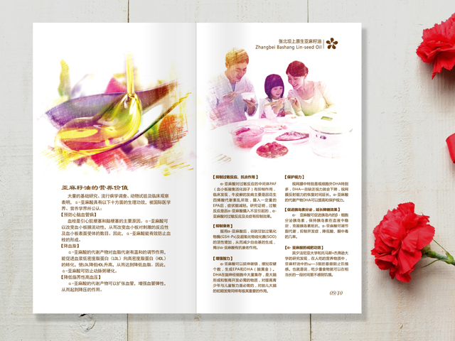 亞麻籽油 宣傳畫冊(cè)設(shè)計(jì)