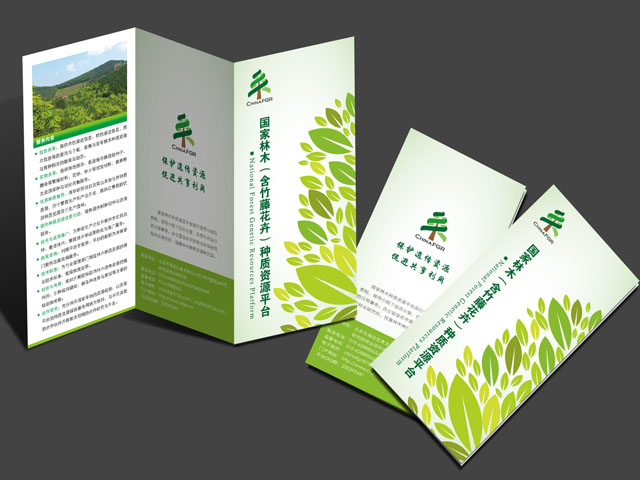 �����h���� ������OӋ