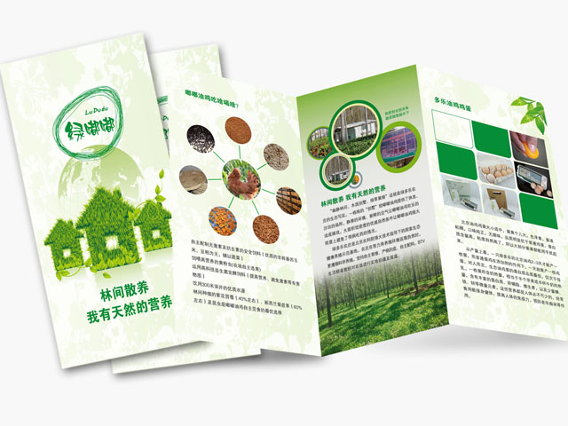 �G�� ������OӋ